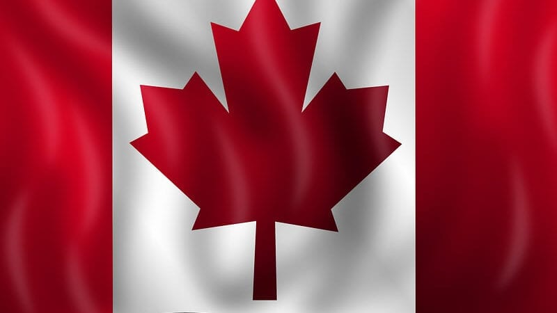 Thomas Tewlmedhim: Canada-Pakistan IT Forum established for mutual benefits