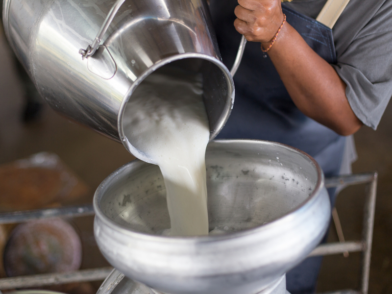 Pakistan ranks got  4th rank among milk producing countries