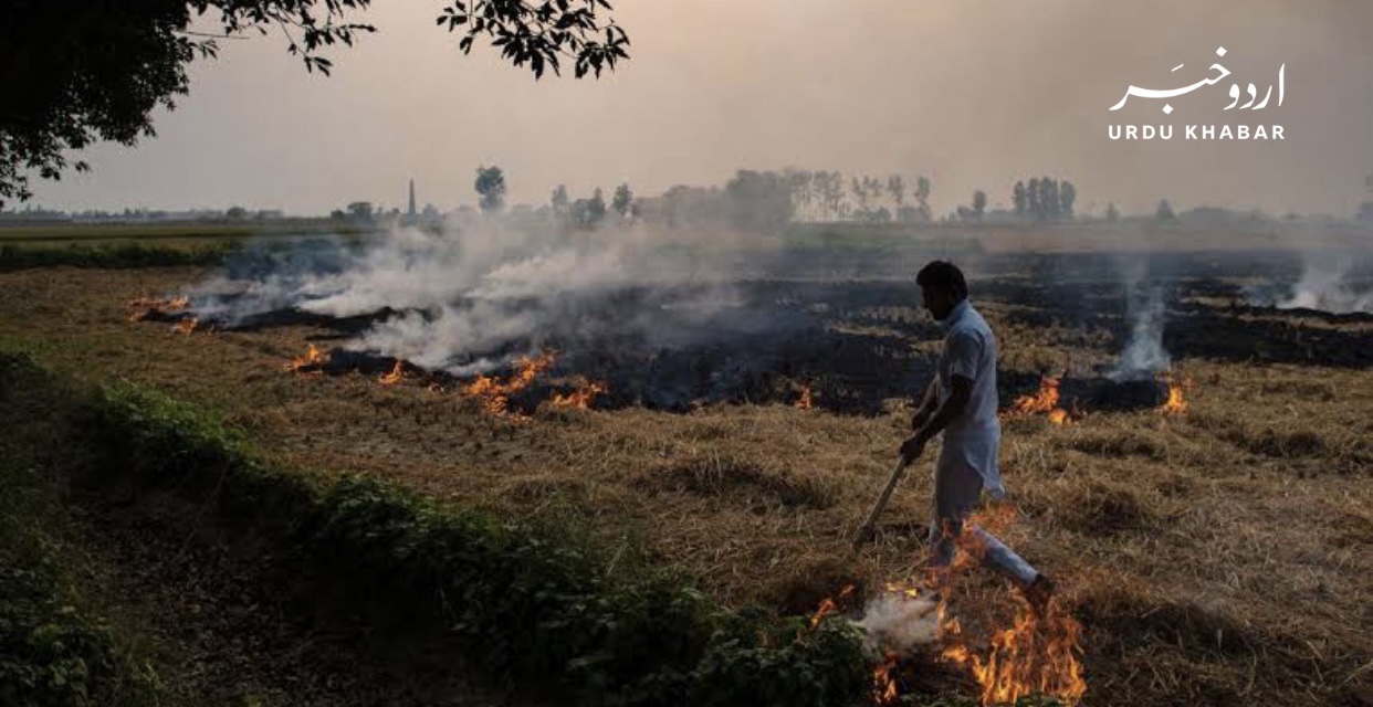 وزیراعلیٰ بزدار نے پنجاب میں فضائی آلودگی سے نمٹنے کے لئے تین نئے پارکوں کی منظوری دے دی