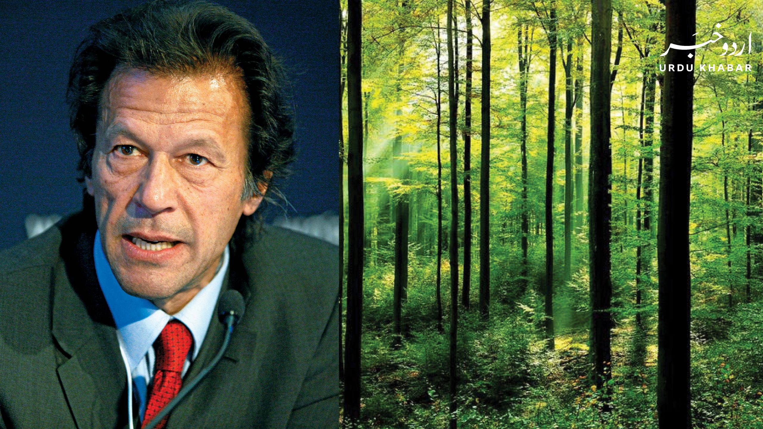 وزیر اعظم عمران کا لاہور میں میاواکی شہری جنگلات کے منصوبے کا افتتاح