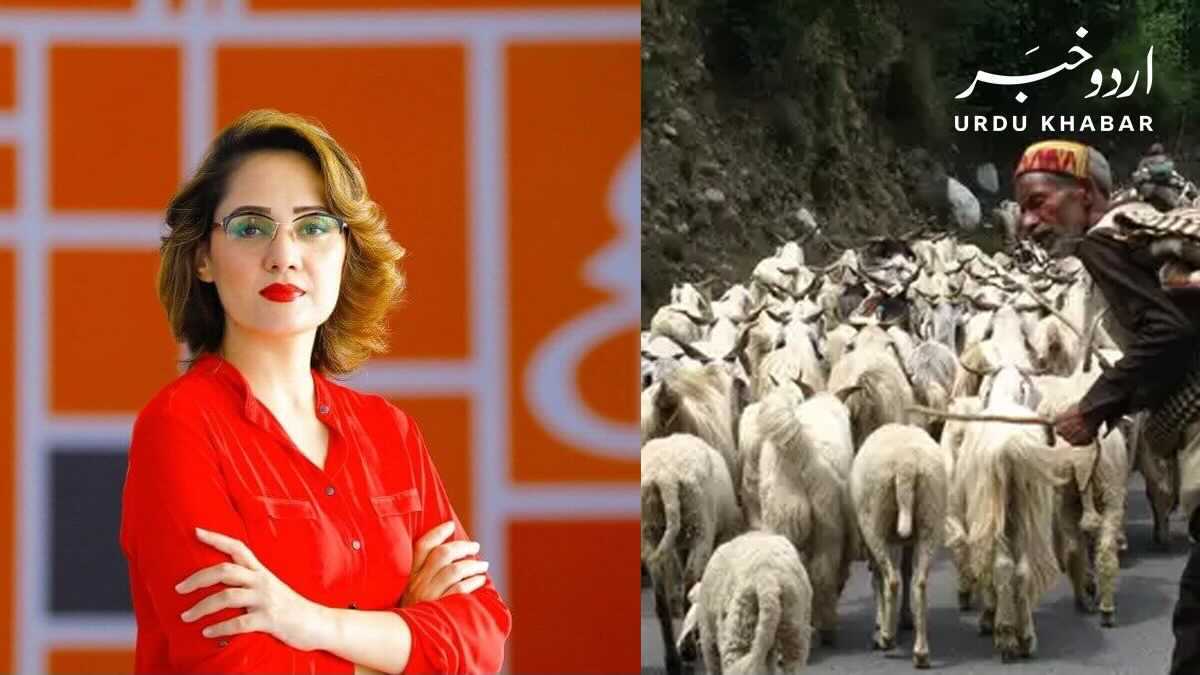 غریدہ فاروقی نے جانوروں کو گولیاں مارنے اور بر سلوک کرنے کے الزامات لگا دئیے