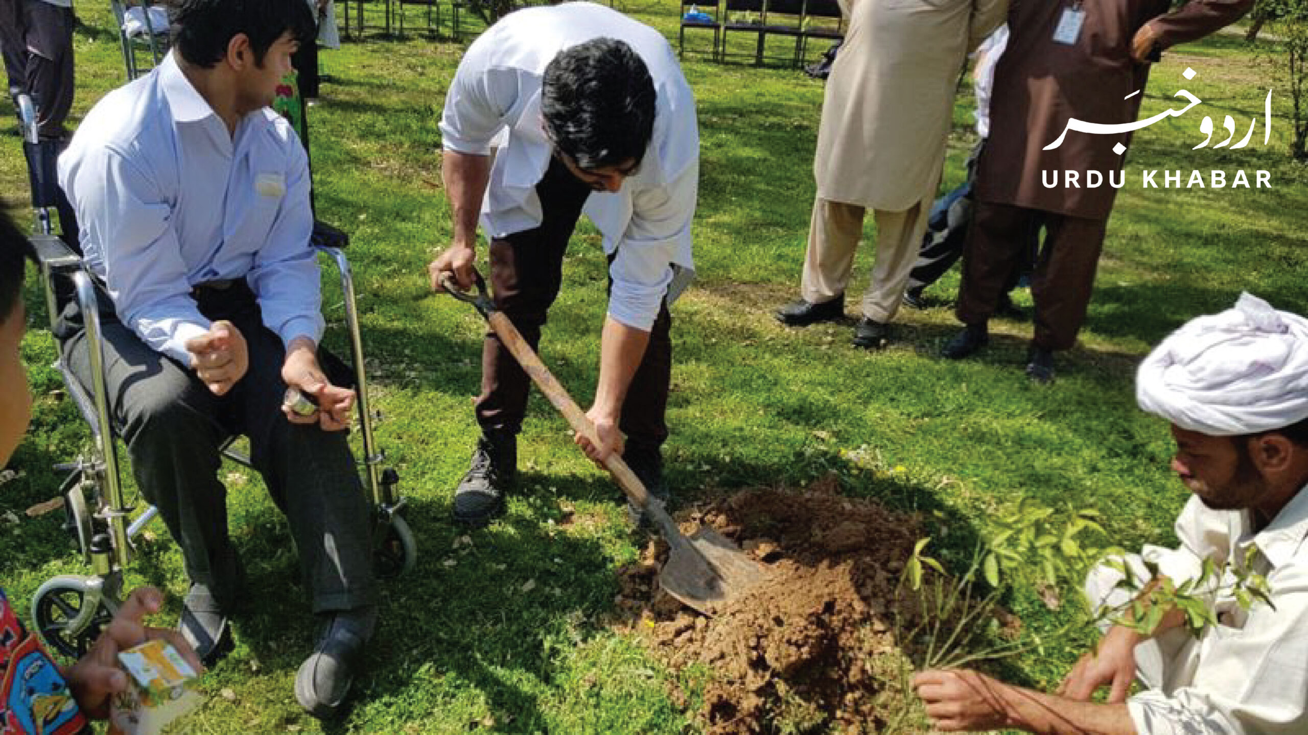 پاکستان نے ایک منٹ میں 50 ہزار پودے لگا کر نیا ورلڈ ریکارڈ قائم کر دیا