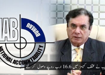 علیم خان استحکام پاکستان پارٹی کے صدر نامزد