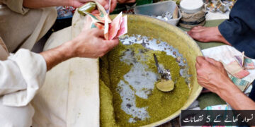 پاکستان آخری حربے کے طور پر افغانستان کے اندر کارروائی کرسکتا ہے، بلاول بھٹو