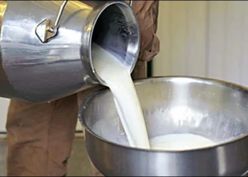 milk