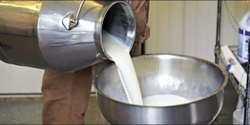milk