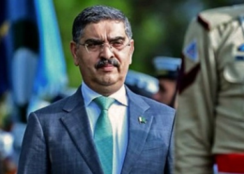 uae pm anwar ul haq kakar