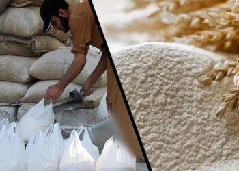 wheat flour