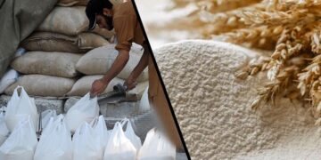 wheat flour
