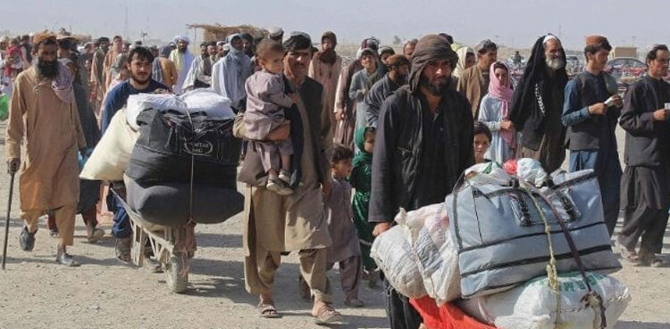 afghan
