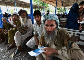 afghans