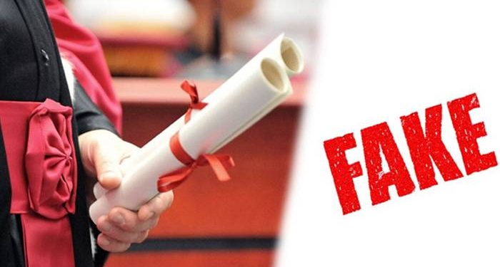 fake degree copy