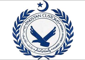pakistan customs