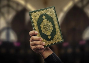 قرآن کی بے حرمتی کے خلاف ڈنمارک کا موقف