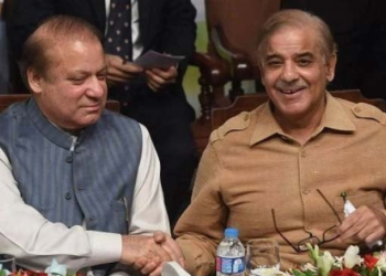 مسلم لیگ ن کے رہنماؤں پر الیکشن میں تاخیر کا الزام: نیئر بخاری