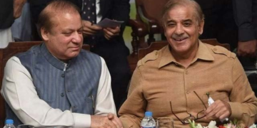 مسلم لیگ ن کے رہنماؤں پر الیکشن میں تاخیر کا الزام: نیئر بخاری