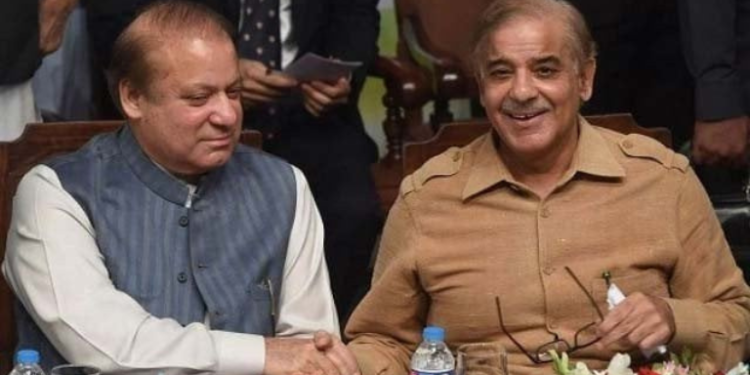 مسلم لیگ ن کے رہنماؤں پر الیکشن میں تاخیر کا الزام: نیئر بخاری