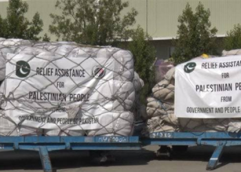 untitled design 20240102 172419 0000