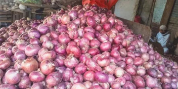 کراچی میں پیاز کی قیمتیں 240 روپے فی کلو تک پہنچ گئیں، بڑے پیمانے پر برآمدات