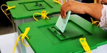 316524 7349381 updates