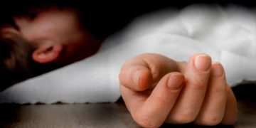 347391 9610299 updates