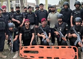 42188 photo 1 7 585 329