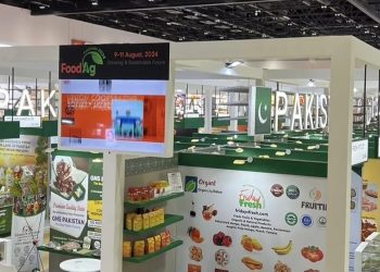 ا مستقبل: پاکستان-یو اے ای تجارتی کانفرنس خوشحالی کی راہیں پلاتا ہے۔