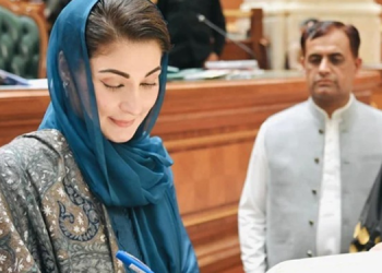 مریم نواز نے پنجاب کی پہلی خاتون وزیر اعلیٰ بن کر تاریخ رقم کر دی