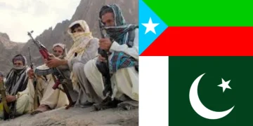 کریم جان گمشدہ یا دہشتگرد تنظیم کا رکن؟ بہن نے اعتراف کر لیا