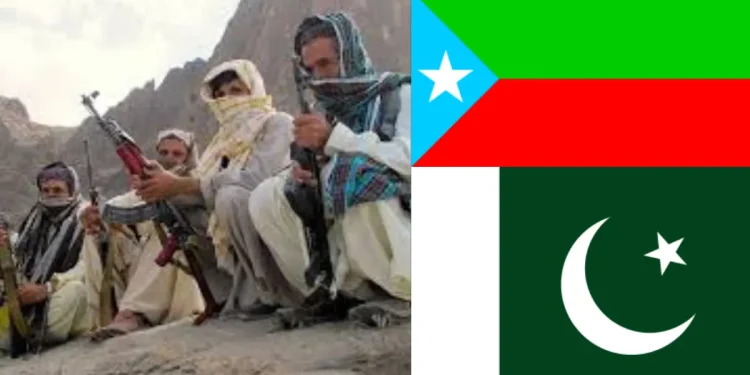 کریم جان گمشدہ یا دہشتگرد تنظیم کا رکن؟ بہن نے اعتراف کر لیا