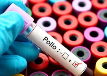 پاکستان کے بڑے شہروں میں پولیو وائرس کا پتہ چلا: فوری ویکسینیشن مہم شروع کر دی گئی۔