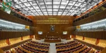 سینیٹ کے ٹکٹوں کی تقسیم، میرٹ کی بجائے خاندانی تعلقات کی جیت