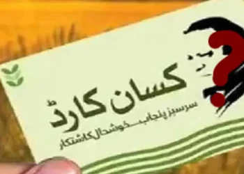 کسان کارڈ پر نواز شریف کی تصویر نہیں لگے گی