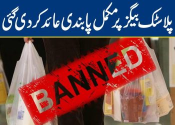 پنجاب 5 جون سے پلاسٹک بیگز پر مکمل پابندی کا اعلان