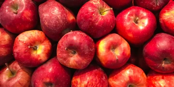 کیا سیب کا سرکہ وزن میں کمی لاتا ہے؟ حقیقت جانئے