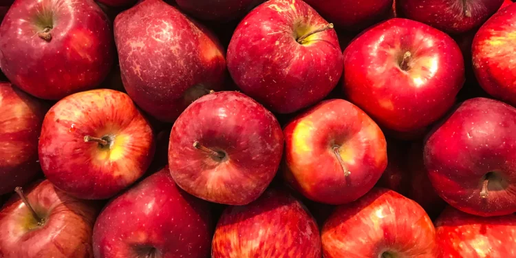 کیا سیب کا سرکہ وزن میں کمی لاتا ہے؟ حقیقت جانئے