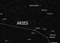 aries