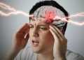 brain