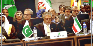 وزیر خارجہ اسحاق ڈار کا غزہ میں فوری جنگ بندی کے اعلان پر زور