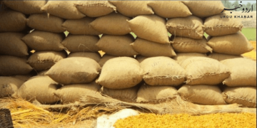 گندم اسکینڈل وفاقی سیکرٹری نیشنل فوڈ سیکیورٹی محمد آصف عہدے سے فارغ