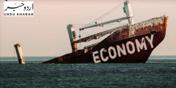 untitled design (19)