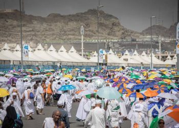 whatsapp image 2024 06 17 at 22.59.59 79adc894