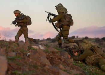 elit israel e1719453995328