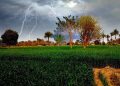 rain