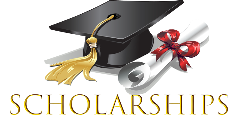 scholarship icon