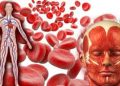جسم میں خون کی کمی کی وجوہات اور ان کا حل