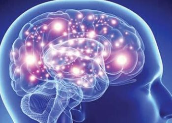 ذہنی صحت اور یاداشت کے لئے 6 مفید غذائیں