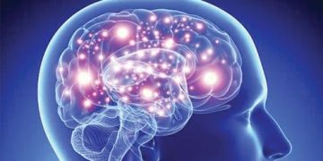 ذہنی صحت اور یاداشت کے لئے 6 مفید غذائیں