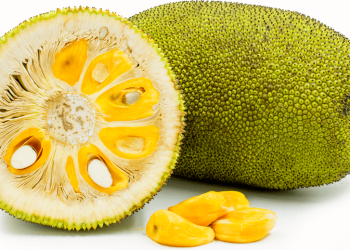 پاکستان میں پہلی مرتبہ جیک فروٹ کی کاشت کاری کا آغاز