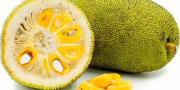 پاکستان میں پہلی مرتبہ جیک فروٹ کی کاشت کاری کا آغاز